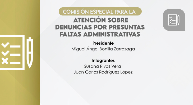 Comisión Especial