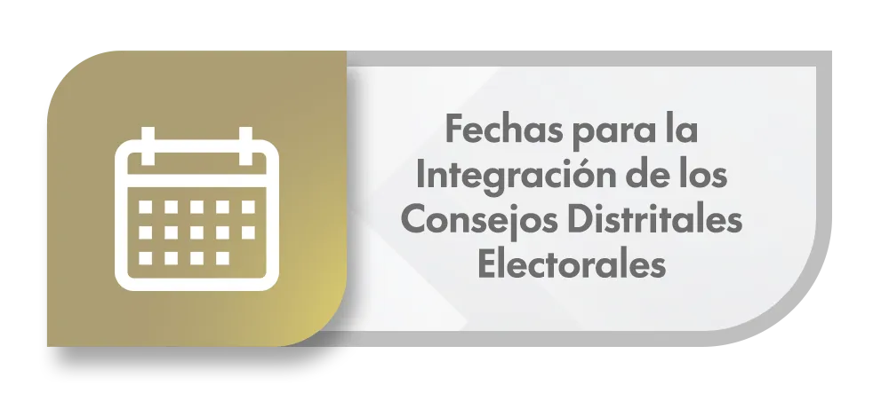 Fecha de integracion