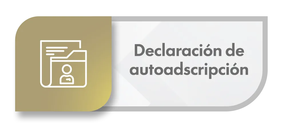 Declaracion autoadcripcion